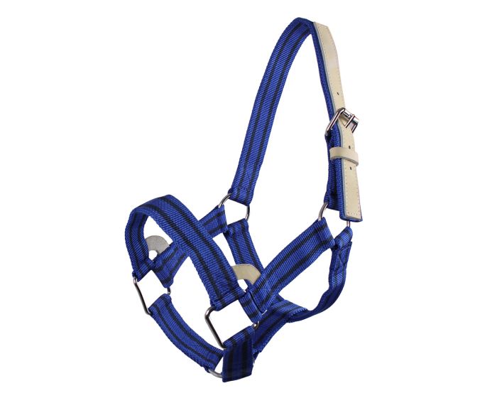 QHP Lederhalfter Extra Schwer main product photo