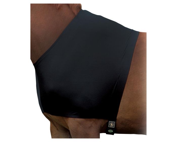 BR vorderzeug- und wiederristeschutz Classic main product photo