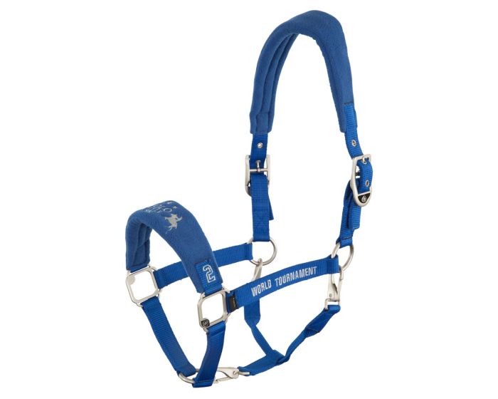 BRPS Reiniger Halfter Tzuegelta main product photo