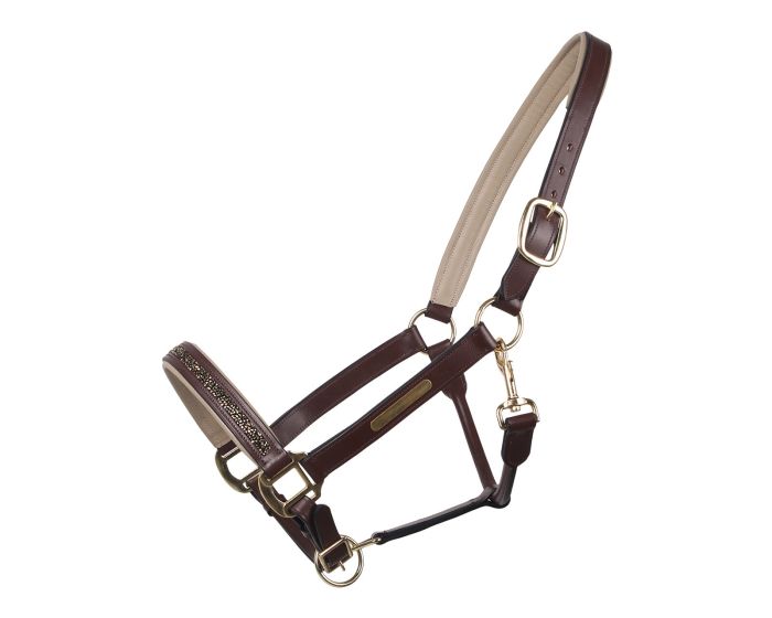 QHP Halfter Leder Lupine main product photo