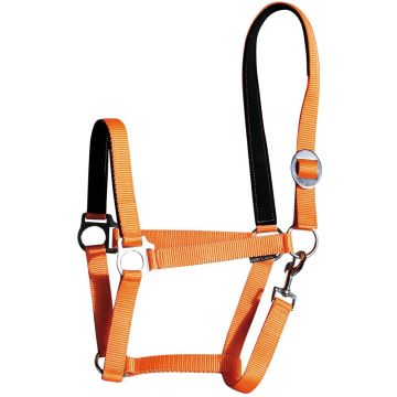 Harry's Horse Halfter bridoonded Cob Orange