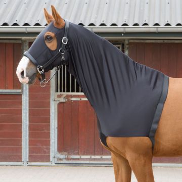 Harry's Horse Vorderzeugschutz / Kapuze Lycra