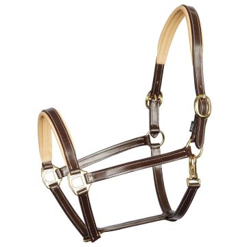 Harry's Horse Halfter Leder Eleganz