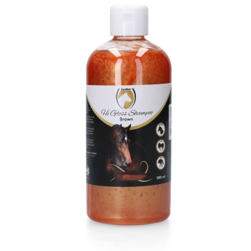 Excellent Hochglanz-Shampoo Schwarz