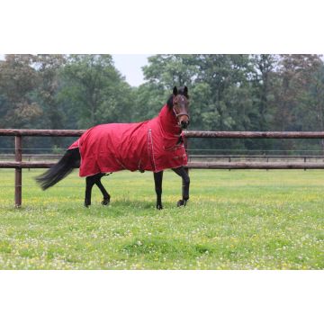 MHS Regendecke "Dream" 100 Gramm fester Hals 75/100 cm Bordeaux