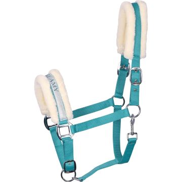 Harry's Horse Halter Songtexte VII