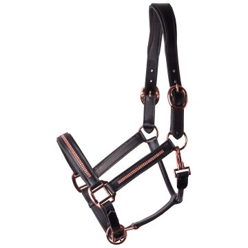 Harry's Horse Halfter Leder Metallic