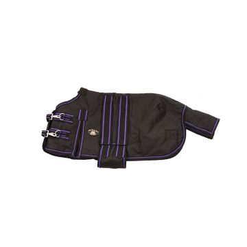 MHS Fohlendecke mit Einzelgurt 100 Gramm Schwarz 40/50 cm