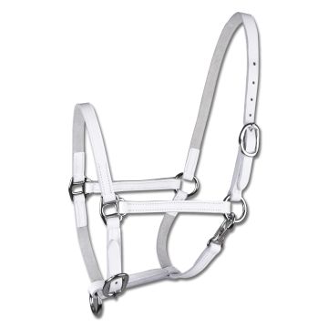 Waldhausen STAR Fohlenshowhalfter, Leder