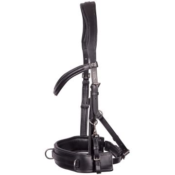 Harry's Horse Kappzaum Leder Comfort